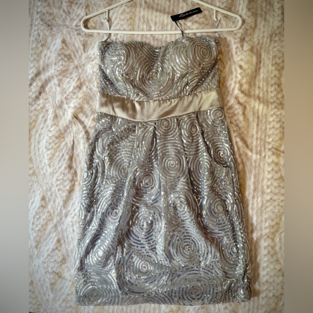 One of a kind Strapless Silver Dress🩶